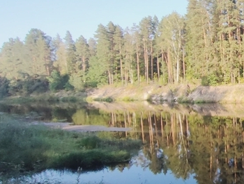 УТРО